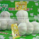 Jining Pretty Jade Food Company Limited company overview - view 1 thumbnail