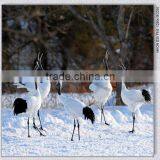 3D Animal Printing Picture