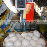 Fresh Pears/New Fresh ya Pear/Fresh ya Pear thumbnail-3