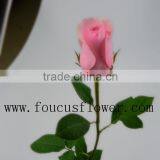 Single Stem Garden Direct Sale Fresh Nirvana From Yunnan thumbnail-5