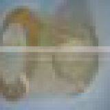 Standard Blue Pvc Strip Curtain thumbnail-2