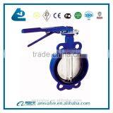 1 inch butterfly valve