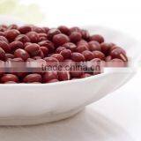 Chinese New Crop Red Adzuki Bean thumbnail-1