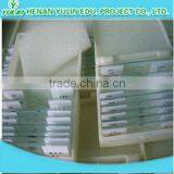 Students Study Plant Tissue Prepared Slides From Factory