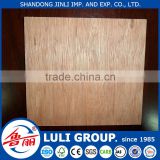 hot press commercial plywood at wholesale price from plywood production line