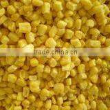 Best Selling Vietnam High Quality IQF Frozen Sweet Corn