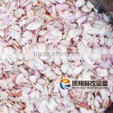 Cutter Type Industrial Horse's Hoof / Shallot / Garlic / Ginger Slicer Slicing Machine thumbnail-3