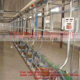 Dairy Farm Electronic Milking Parlor System For Cow