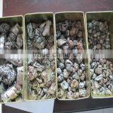 Scrap Metal Crusher Machine Used To Crushing Stainless Steel, Iron Drum, Zip-Top Can, Steel Slag thumbnail-6