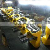 OCS-S 500kg Electric Weighing Crane Scale thumbnail-2