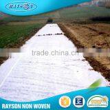 China Market Sunshine Nonwoven Agricultural Fabric Anti Uv thumbnail-4