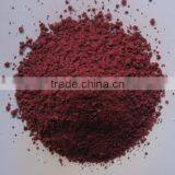 Bakelite Powder in Food and Beverage thumbnail-1