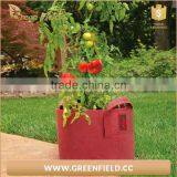 Garden Decorative Cheap Colorful Stackable Fabric Flower Pots thumbnail-4