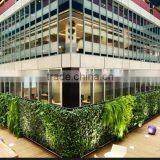 Wholesale Price Plastic Plant Vertical Everygreen Wall,artificial Plants for Wall thumbnail-1
