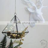 2016 Best Selling Tabletop Succulent Planter/Faceted Geometric Terrarium/Terrarium Box thumbnail-2