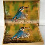 High quality best selling Acrylic bird lacquered serving Square Tray from Vietnam