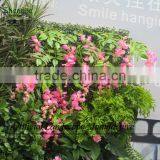 Fake Plants Green Wall,artificial Green Wall Wholesale Manufacture thumbnail-3