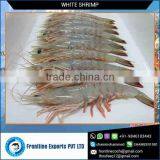 Best Quality Frozen White Shrimp HOSO From India thumbnail-1