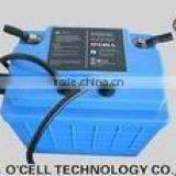 LiFePO4 Battery 24V 40Ah, Lithium Ion 24V 40Ah, for Vehicle, Scooter