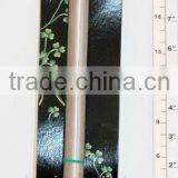 Pot Brush thumbnail-1