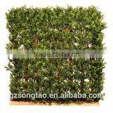 New Generation Boxwood Top Matt Available in UV Protected and Inherently Flame Retardant thumbnail-1