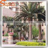High Quality Outdoor Decoration Artificial Date Plam Tree thumbnail-1