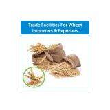 Get Trade Finance Facilities (L/C, SBLC, BG, BCL & Etc) for Iron Importers & Exporters thumbnail-1