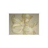 Swallow Bird Nest Grade A+ Bowl thumbnail-1