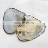 2017 New Fashion Jewelry Freshwater Cultured Pearl Oyster Potato Mixed Colors thumbnail-6