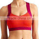 Wholesale Athletic Wear New Style Sexy Nylon Spandex X Back Two Colors Fitness Bra thumbnail-1