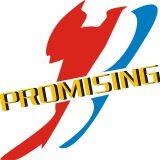 Qingdao Promising International Co.,Ltd