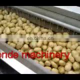 Nylon brushes type vegetable washing peeling machine/potato cleaning peeling machine