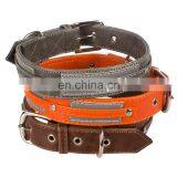Classic Adjustable Padded Leather Dog Collar thumbnail-1