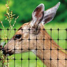 Plastic Deer Fence thumbnail-2
