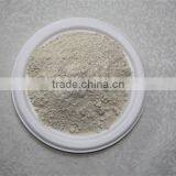 Powder Shape and 100% Pure Dried Garlic Powder thumbnail-3
