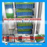 Hydroponicpoultry Feed Machine for Sale/hydroponic Fodder System/hydroponics Fodder Hydroponic Culturing Barley Breeding Machine thumbnail-6