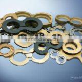 Sinter Metal Thrust Plate for Gear Pump