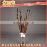 Cat Teaser Stick Toy Fish ,CC090 Cat Dangler Toys , Cat Wand Teaser Toy