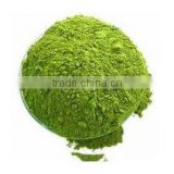High Quality 100% Natural Moringa Leaf Powder