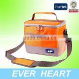 Medium Size Good Quality 600D Polyester Insulated Bag From China