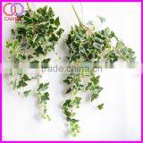 Important of Ornamental Plant thumbnail-5