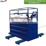 3ton / 1kg Hot Sales Zebra 12 Digital Electronic Cattle Weighing Scales thumbnail-5