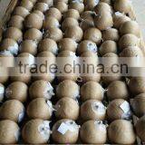 Fireworks Pyrotechnics Shell Machine thumbnail-4