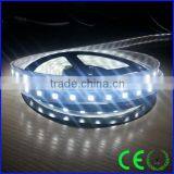 High Brightness White Color 5050 Underwater Led Strip thumbnail-1