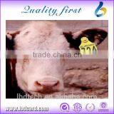 Fast Delivery Large Capacity Competitive Price Animal Ear Tag Ear Tag Plier Tag For Dogs Factory Wholesale