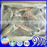 Frozen Tilapia Wholesale Price Fish for Canning thumbnail-2