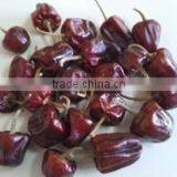 Round Chilli From SouthIndia thumbnail-3