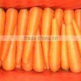 Fresh Carrot 2016 Crop thumbnail-6