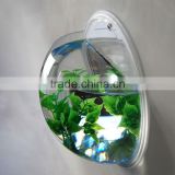 clear Wall mounted half sphere shape small acrylic fish tank