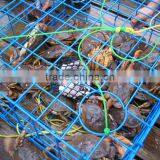 High Quality Round Folding Crab Traps thumbnail-2